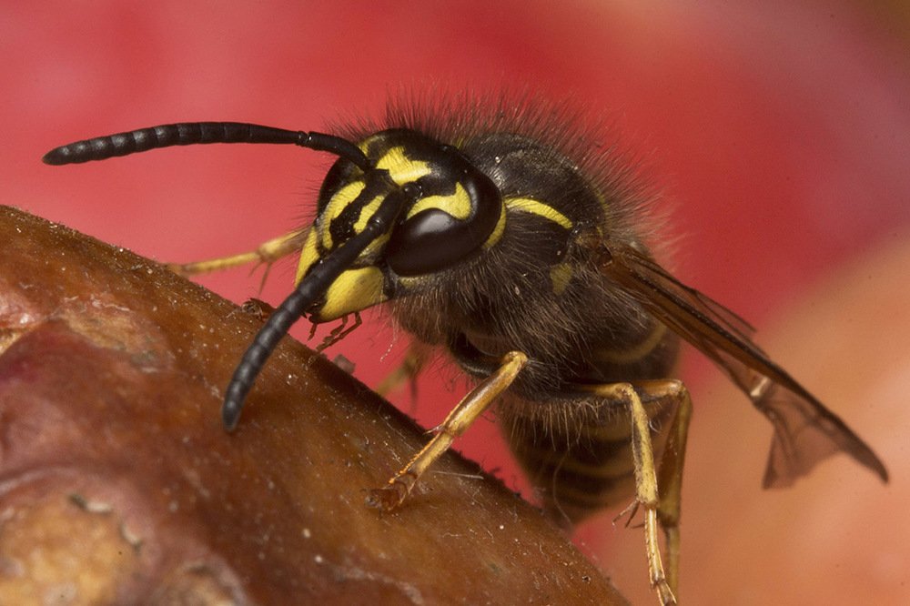 Фотография автора Марина Кулакова