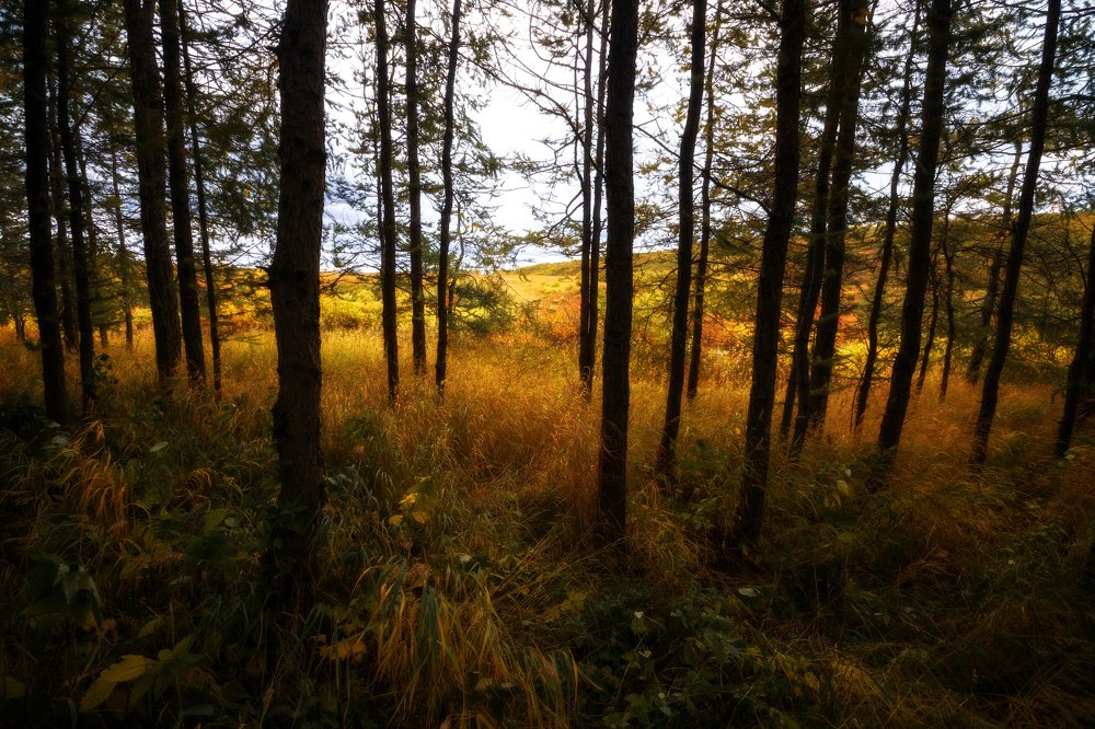 Осенние ритмы