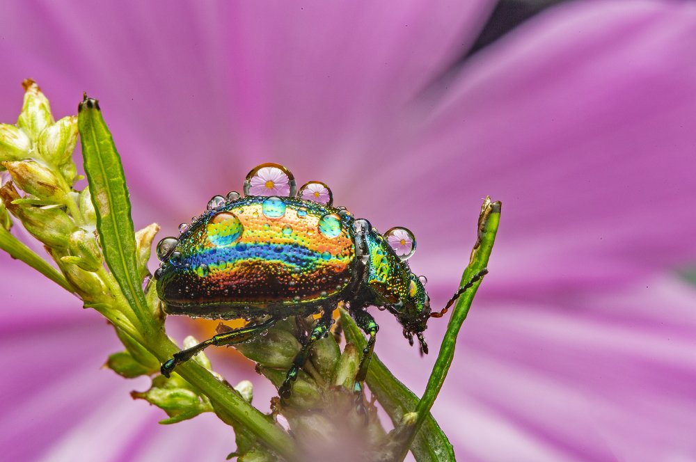 Photograph by Иван Радьков