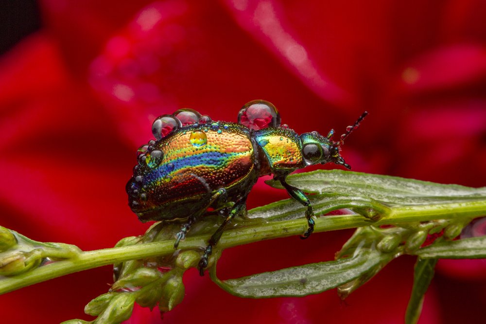 Photograph by Иван Радьков