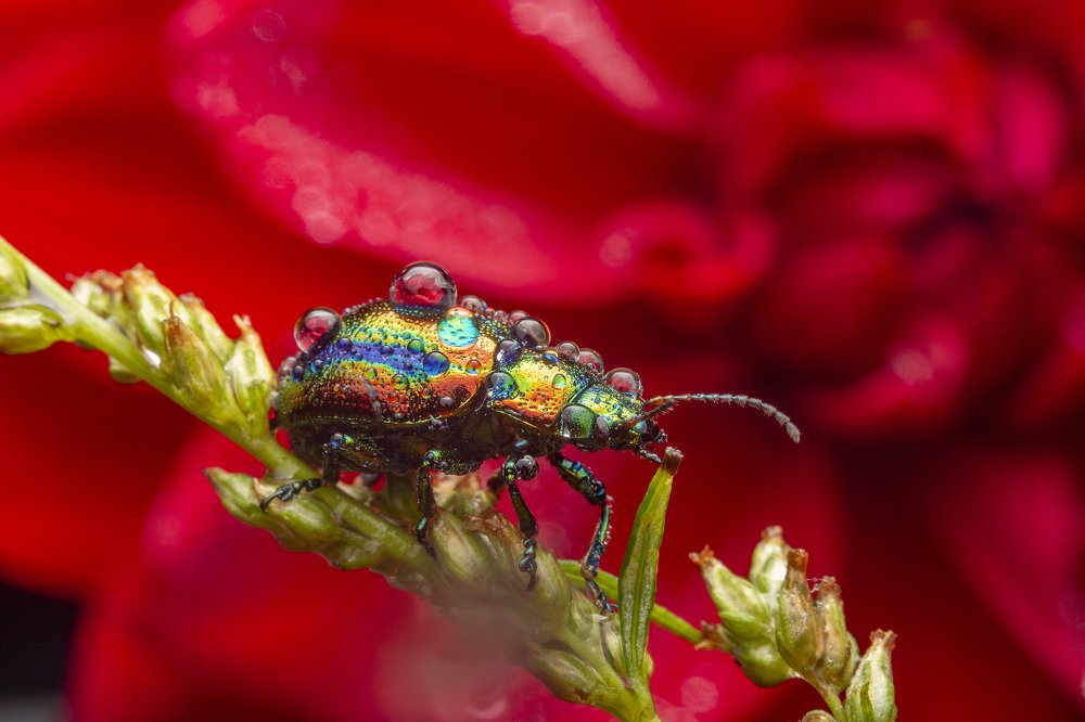 Photograph by Иван Радьков