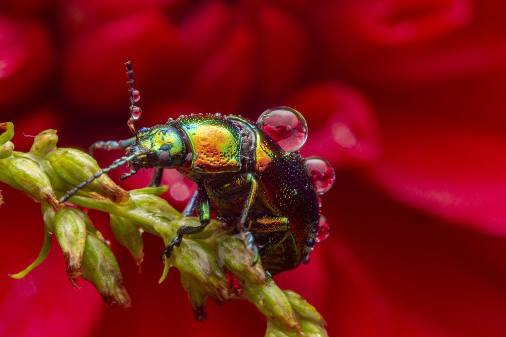 Photograph by Иван Радьков