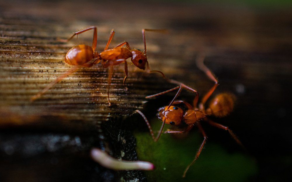 Photograph by Debs Rosales Alberto