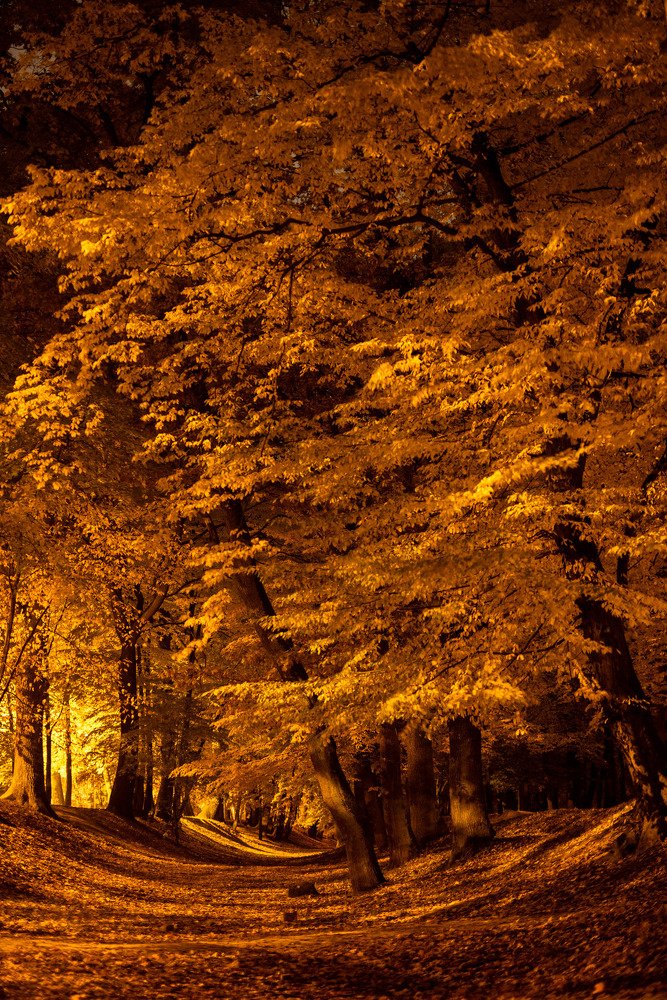 Photograph by Александр Тимохин