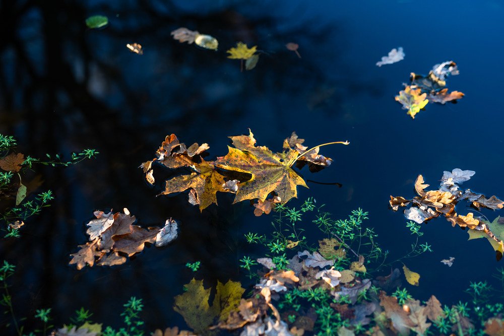 Photograph by Александр Тимохин