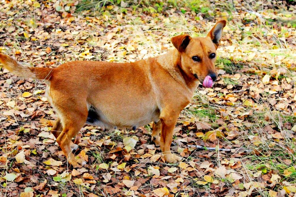 Photograph by Татьяна Перегудова