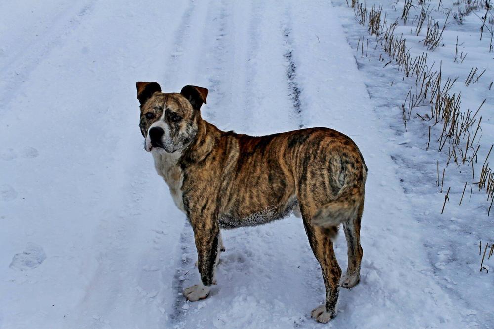 Photograph by Татьяна Перегудова