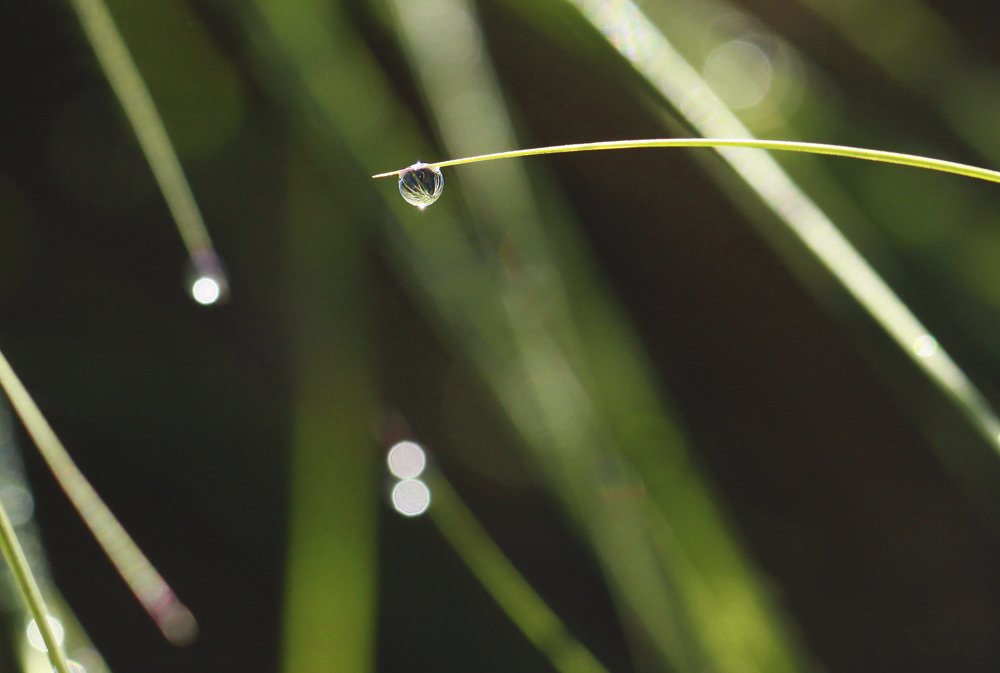 Фотография автора Marina
