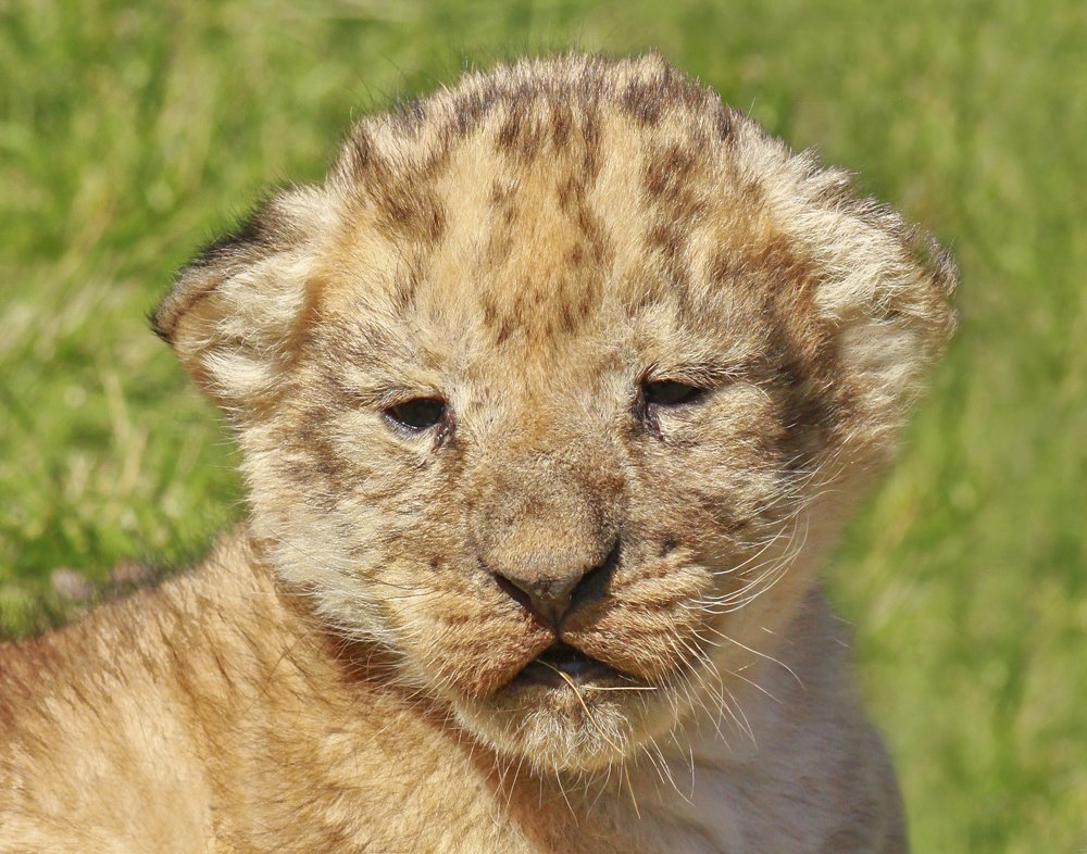 Фотография автора Marina