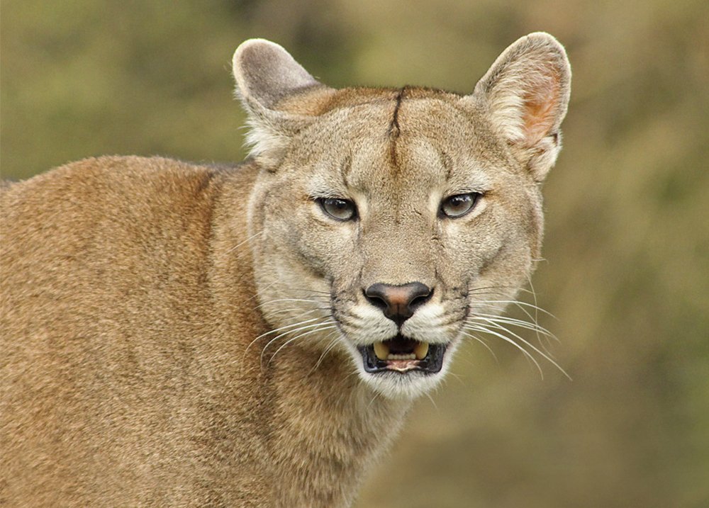 Фотография автора Marina