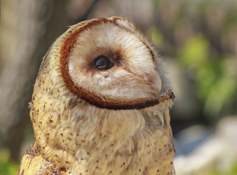 Фотография автора Marina