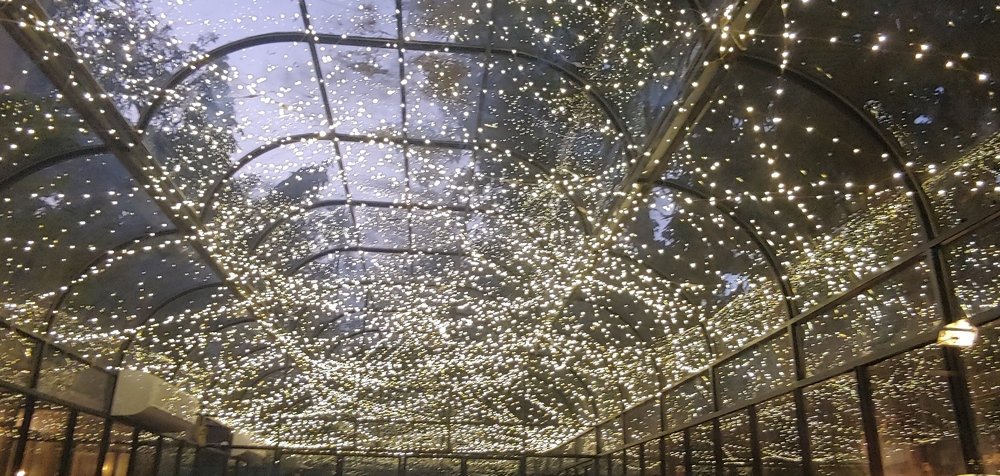 Photograph by Elena Chandran