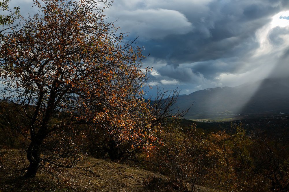 Photograph by Alla Fedina