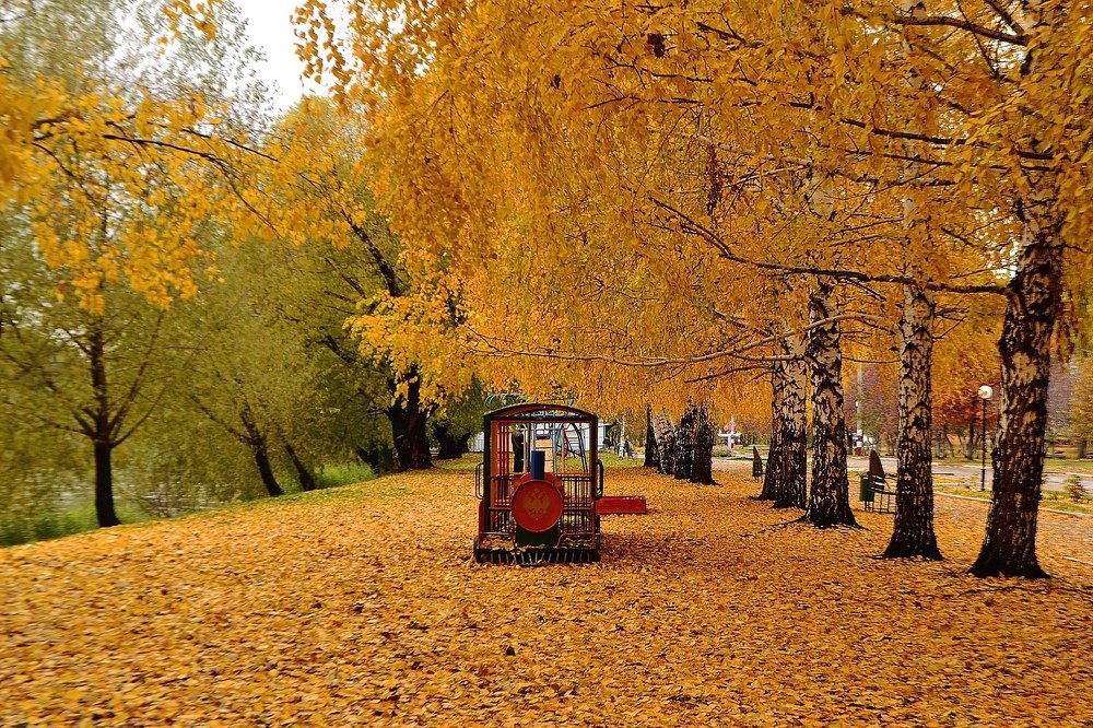 Photograph by Ольга Доловова