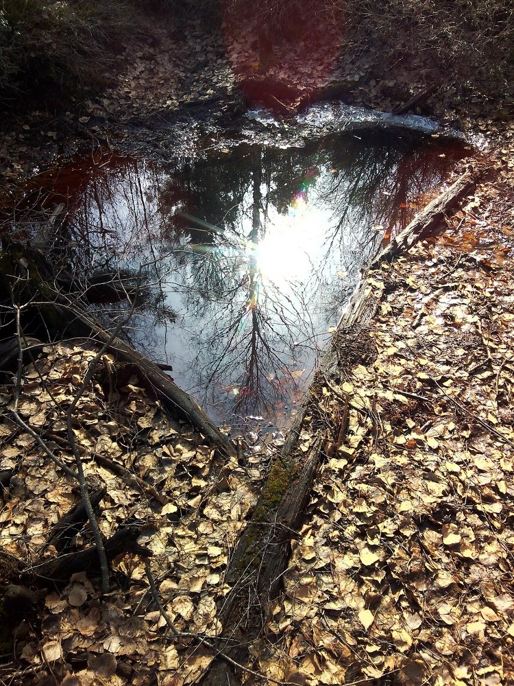 Photograph by Инна Голубева