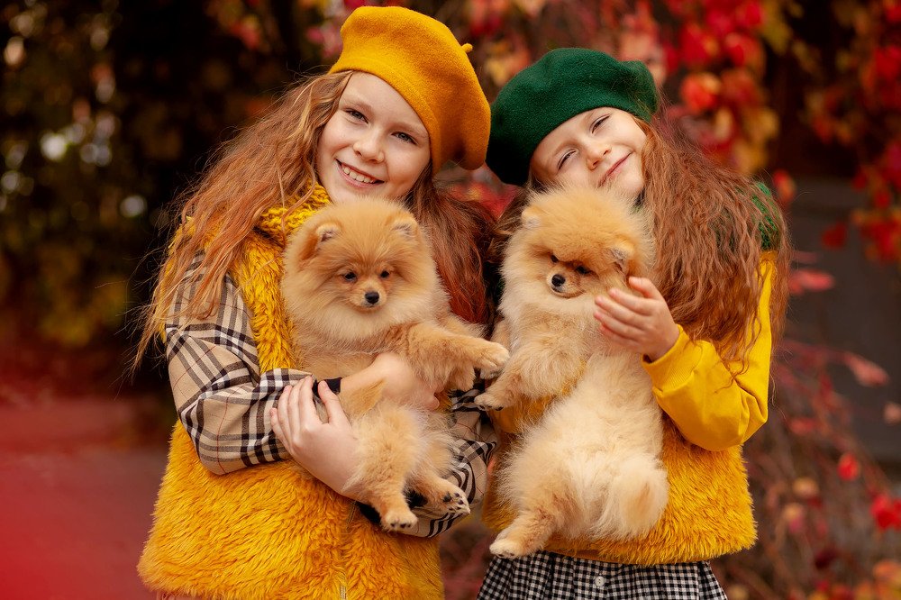 Photograph by Светлана Ермашкевич