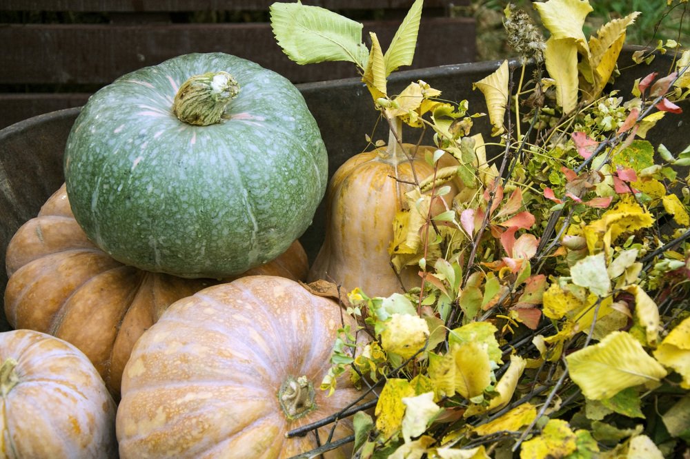 Photograph by Татьяна Фёдорова