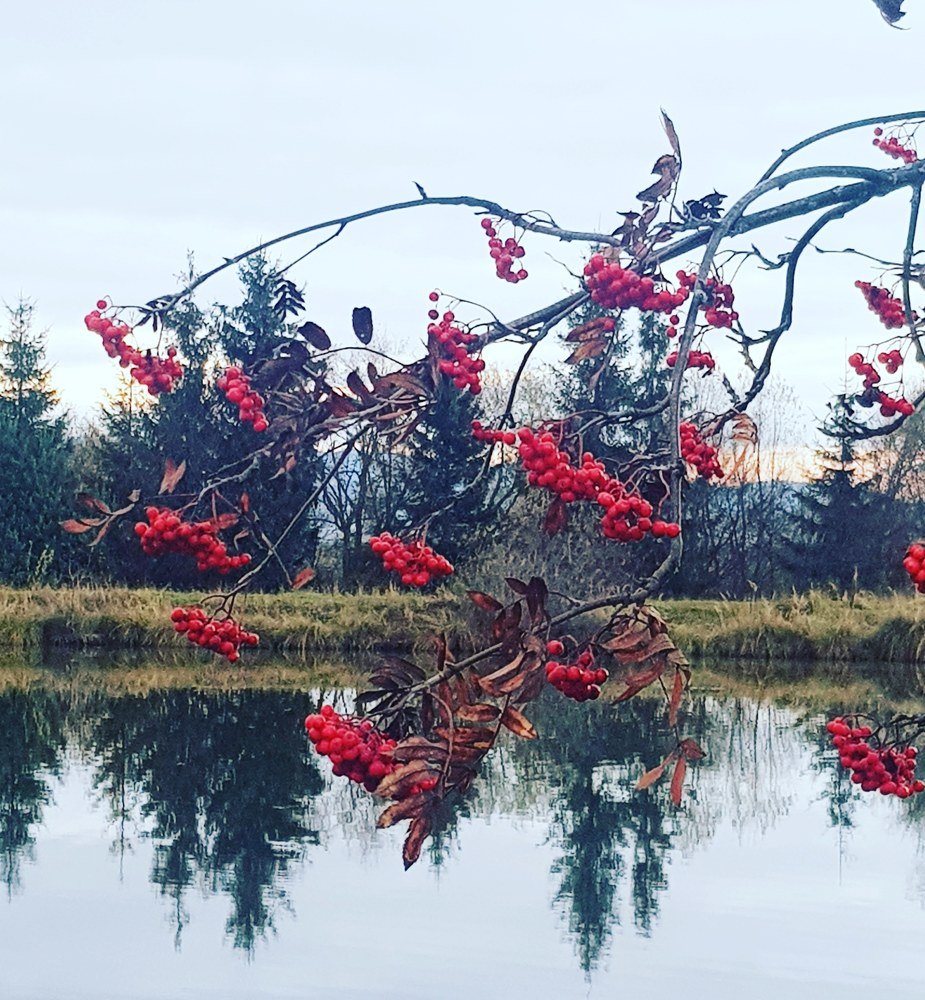 Фотография автора Vladimíra Dolanska