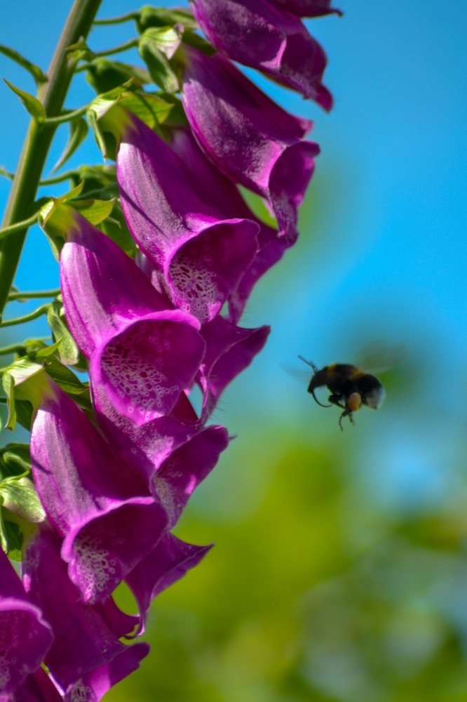 Краски лета