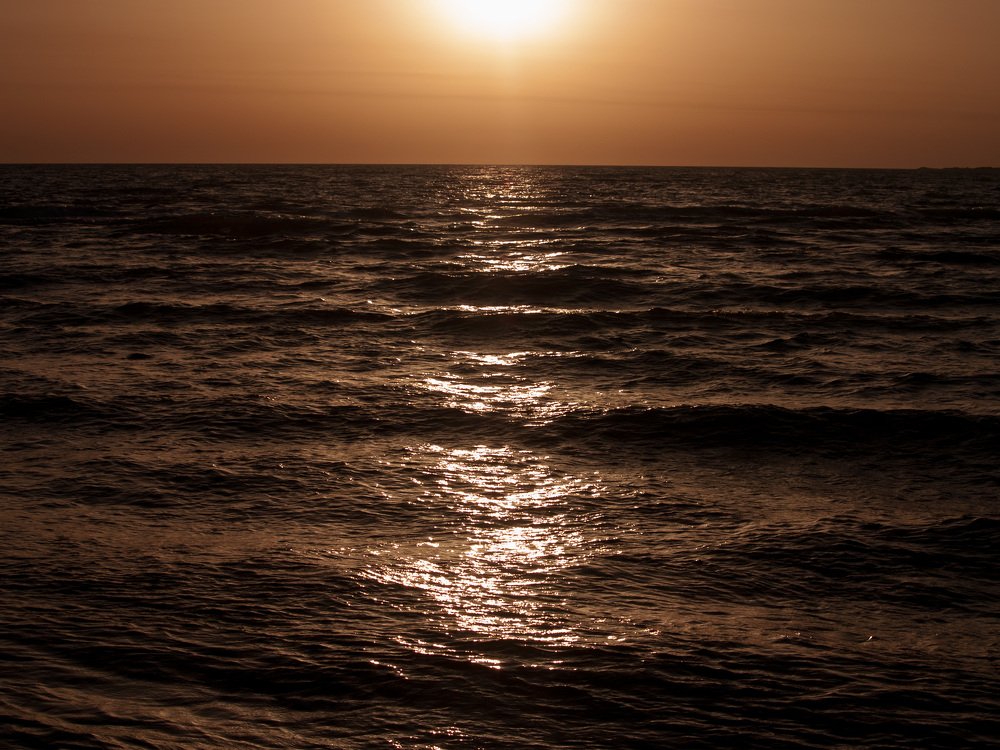 Photograph by Abdolreza Aleagha