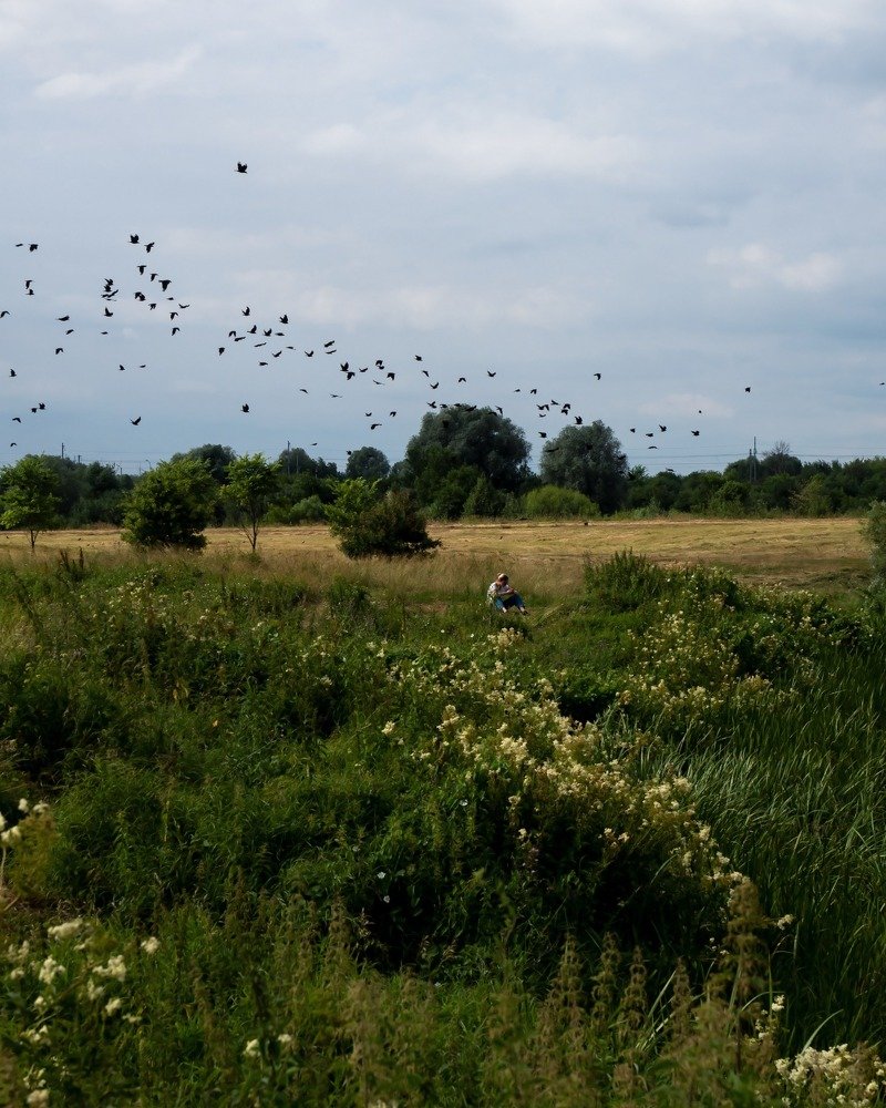 Photograph by Римма Рамазанова