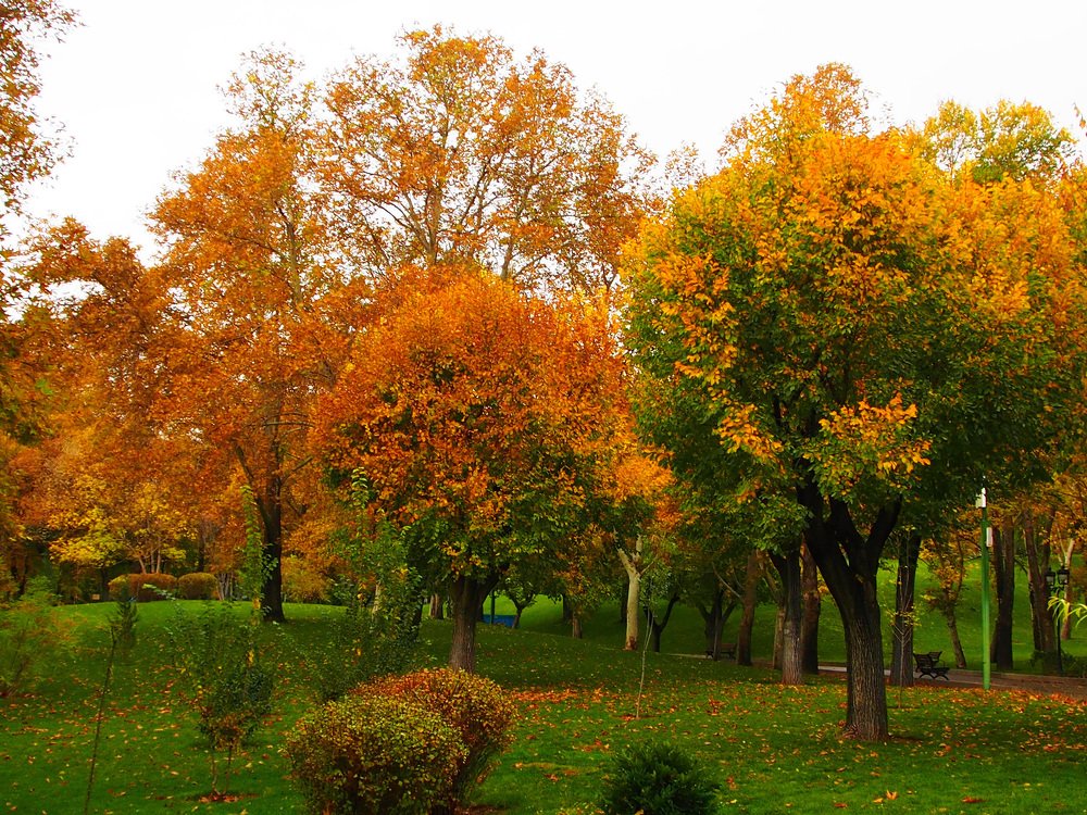 Photograph by Abdolreza Aleagha