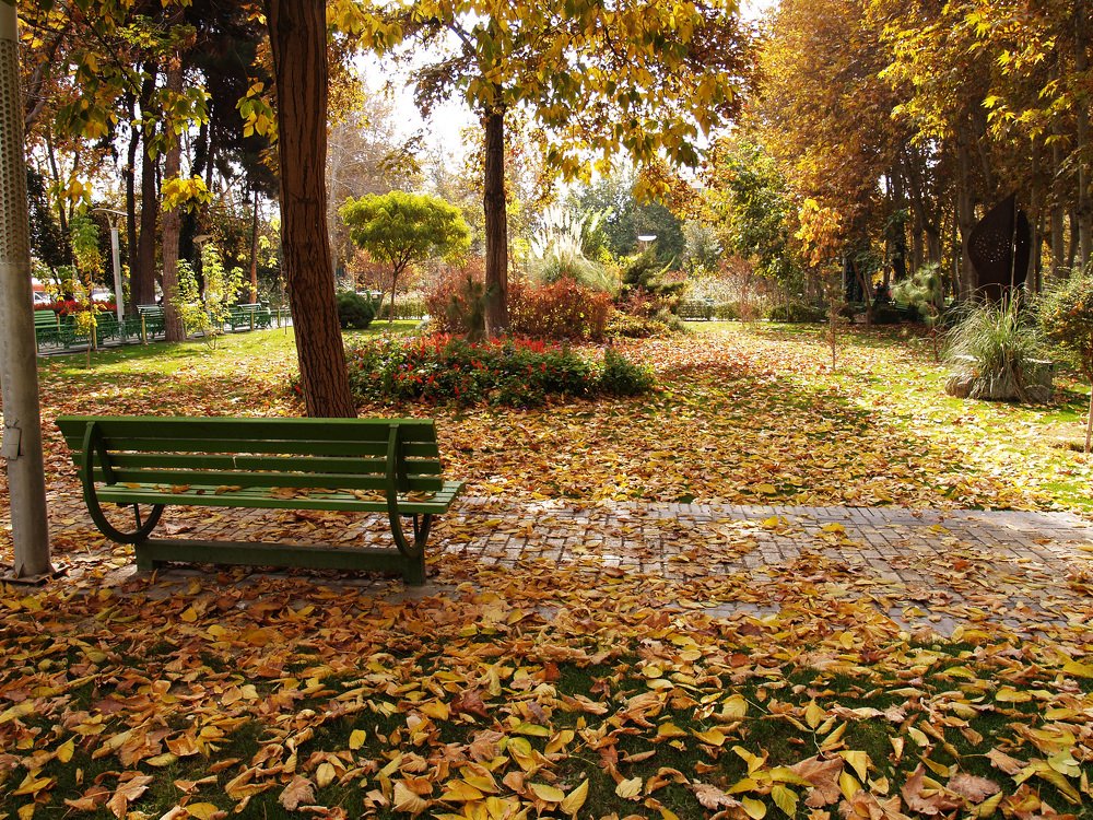 Photograph by Abdolreza Aleagha