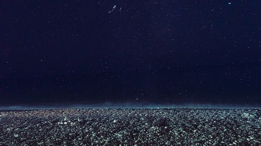 Фотография автора Полина Лебедева