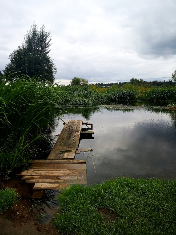 Photograph by Татьяна Зобова