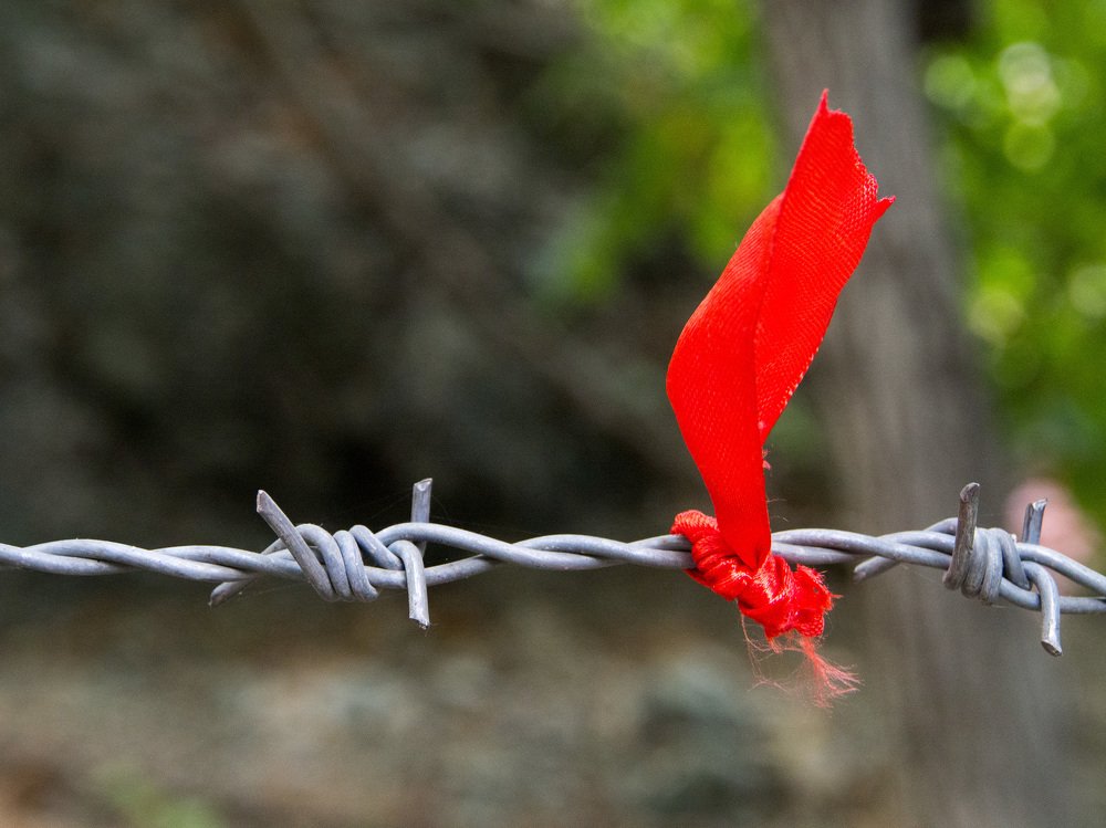 Photograph by Abdolreza Aleagha