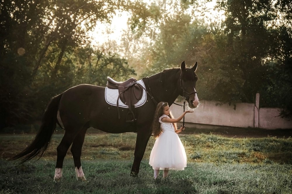 Princess Sofia in Wonderland