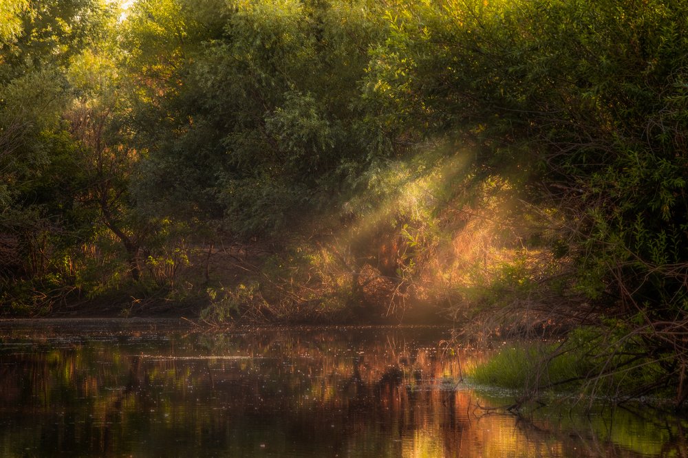 Photograph by Владимир Орлов