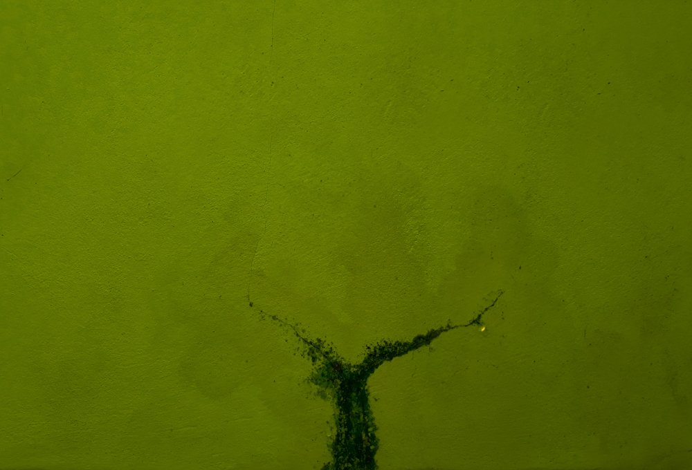 Photograph by SHOWRAV CHOWDHURY