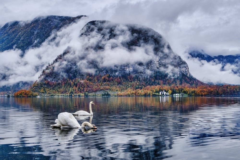 Photograph by Iryna Karpenko