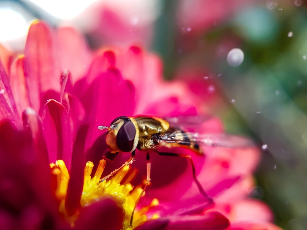 Photograph by Татьяна Висна