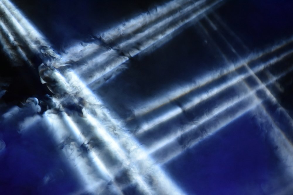 Photograph by Rishay Madan