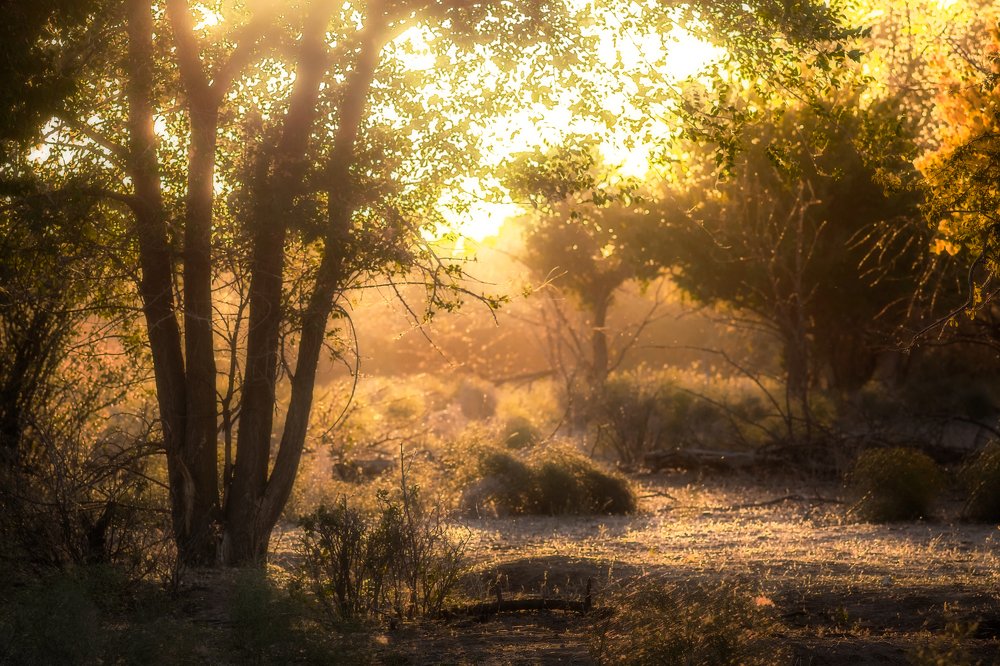 Photograph by Владимир Орлов