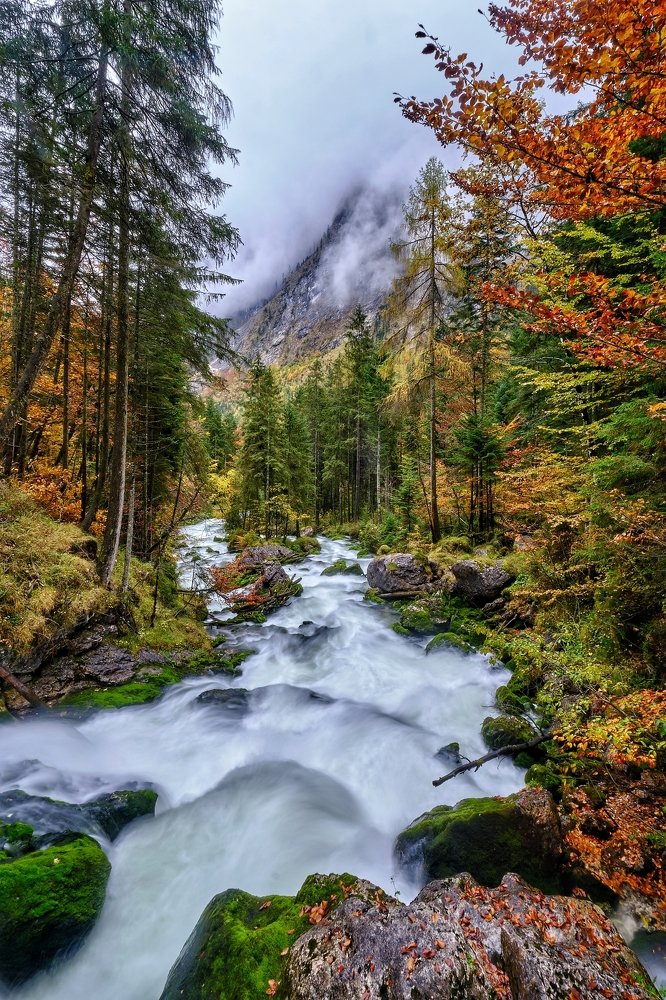 Photograph by Iryna Karpenko