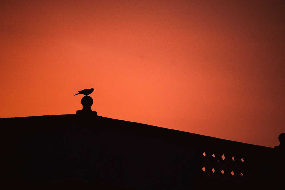 Photograph by Islam Traikia