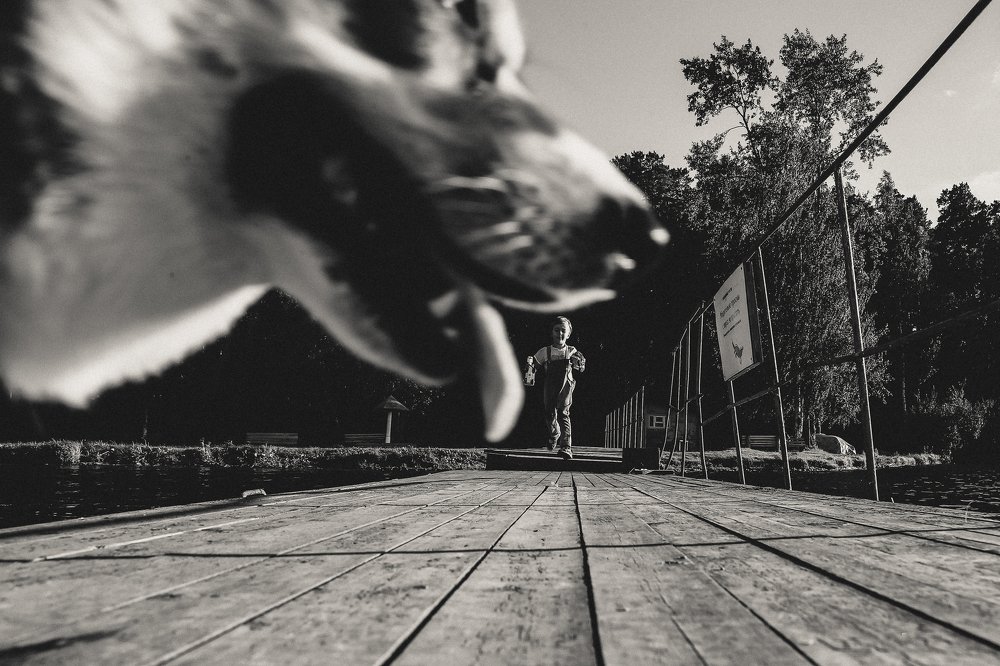 Photograph by Светлана