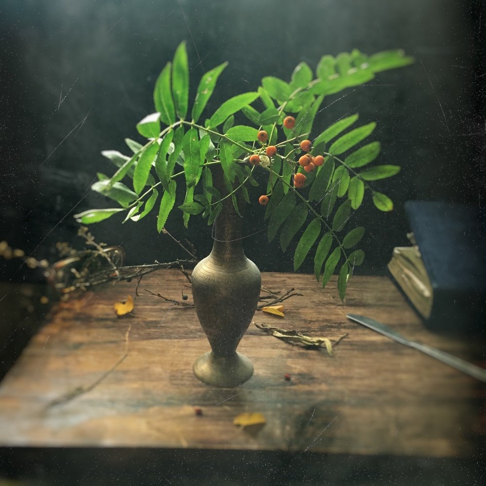 Фотография автора Ирина Курмалеева