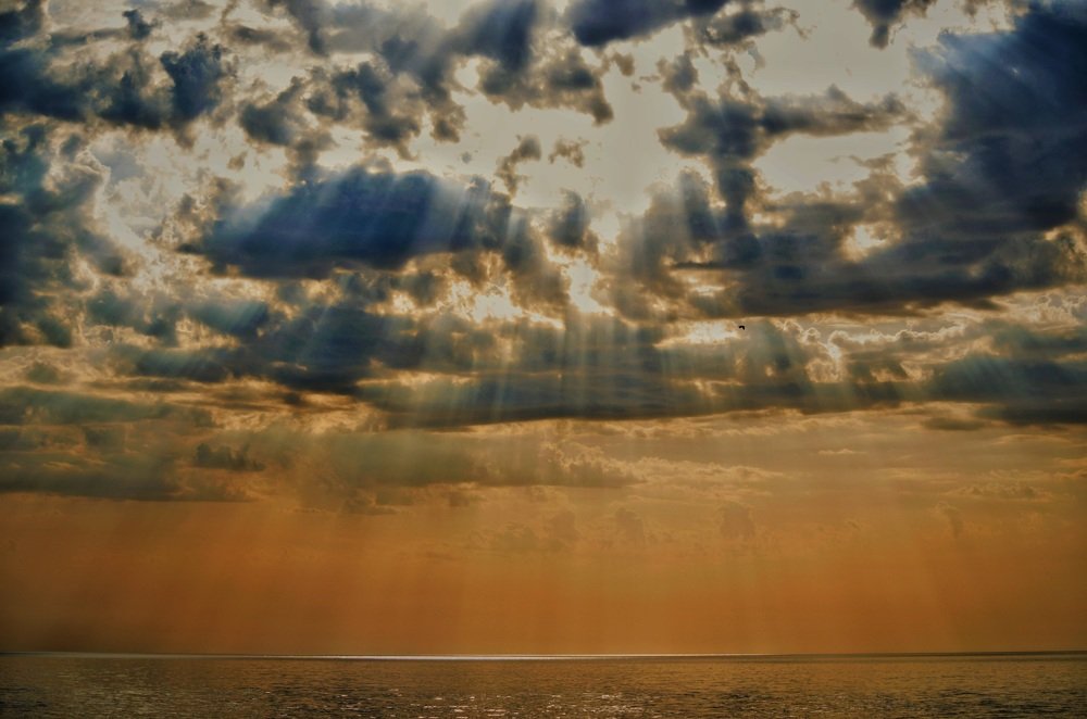 Photograph by Максим Ушенин