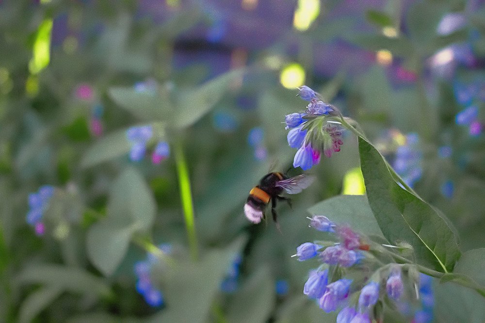 Photograph by Александр Катюрин