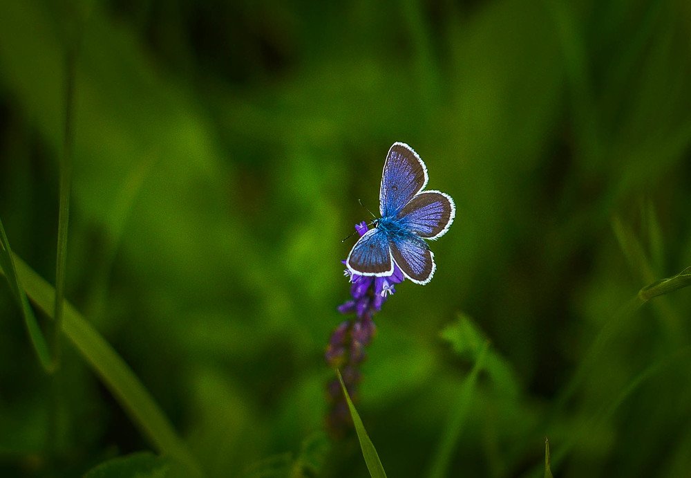 Photograph by Евгения Булавко