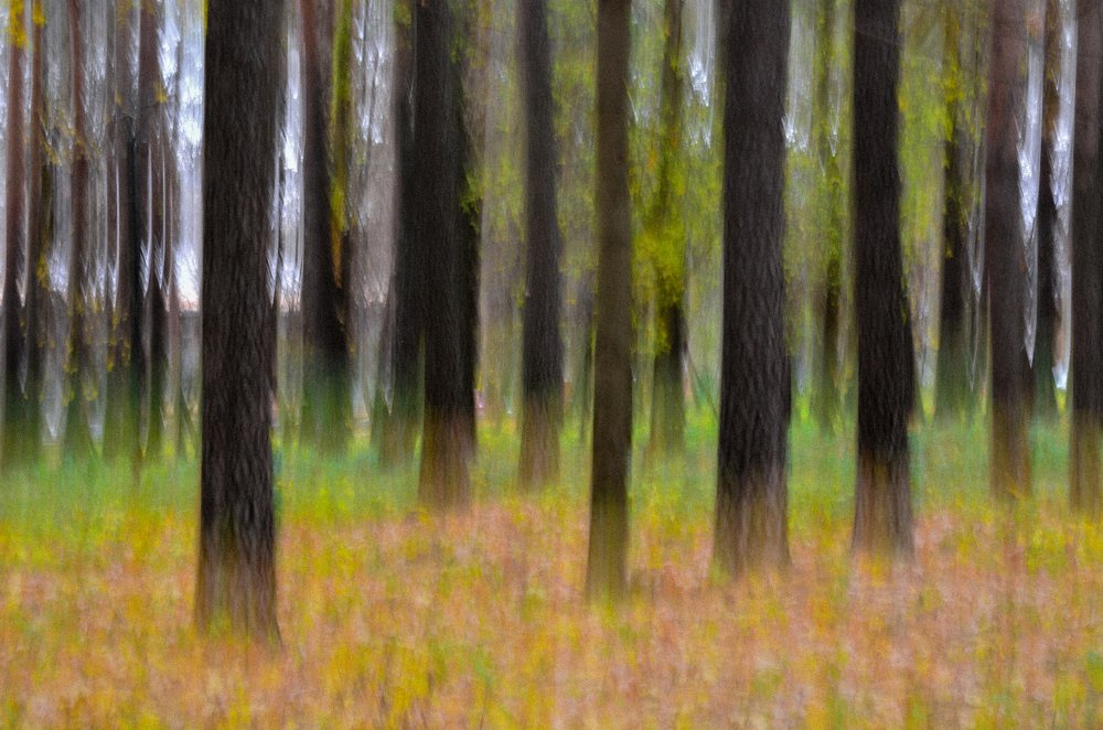 Фотография автора Глеб Рубашкин