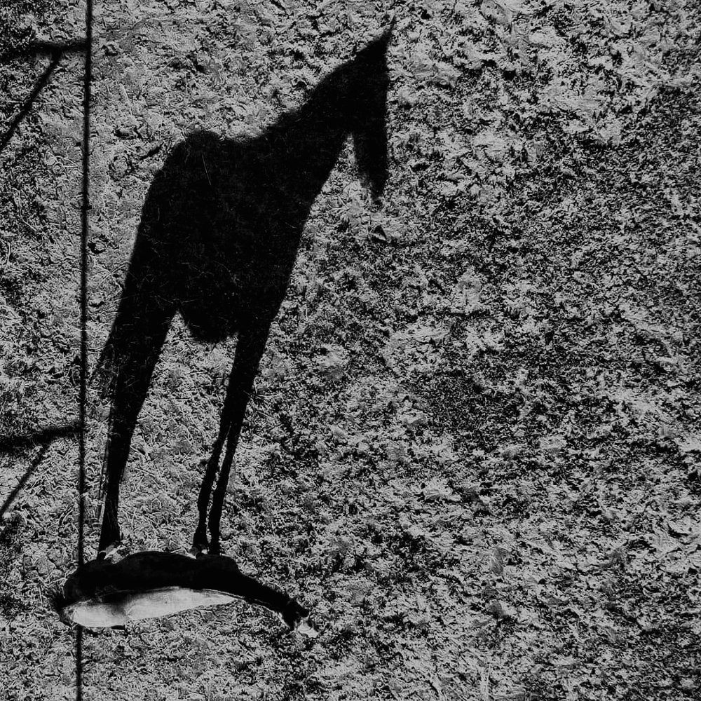 Photograph by Yuliya Ivanova