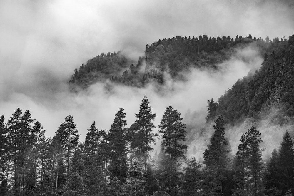 Photograph by Alexey Guskov