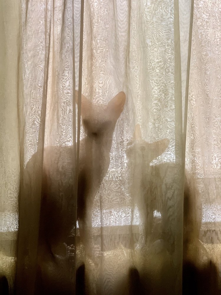 Photograph by Павел Швец