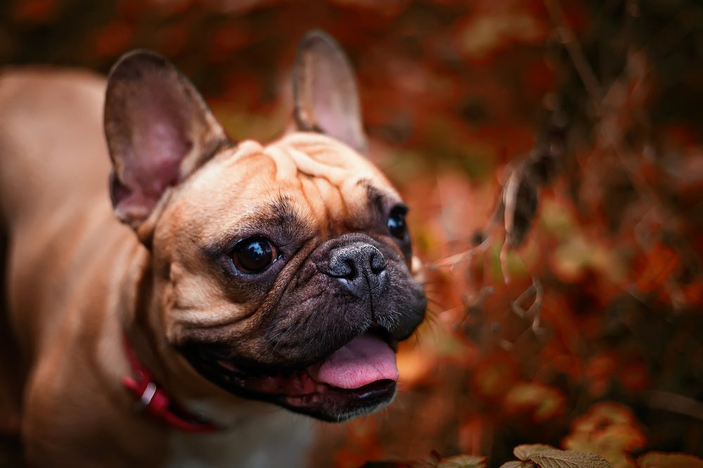 Photograph by Yuliya Ivanova