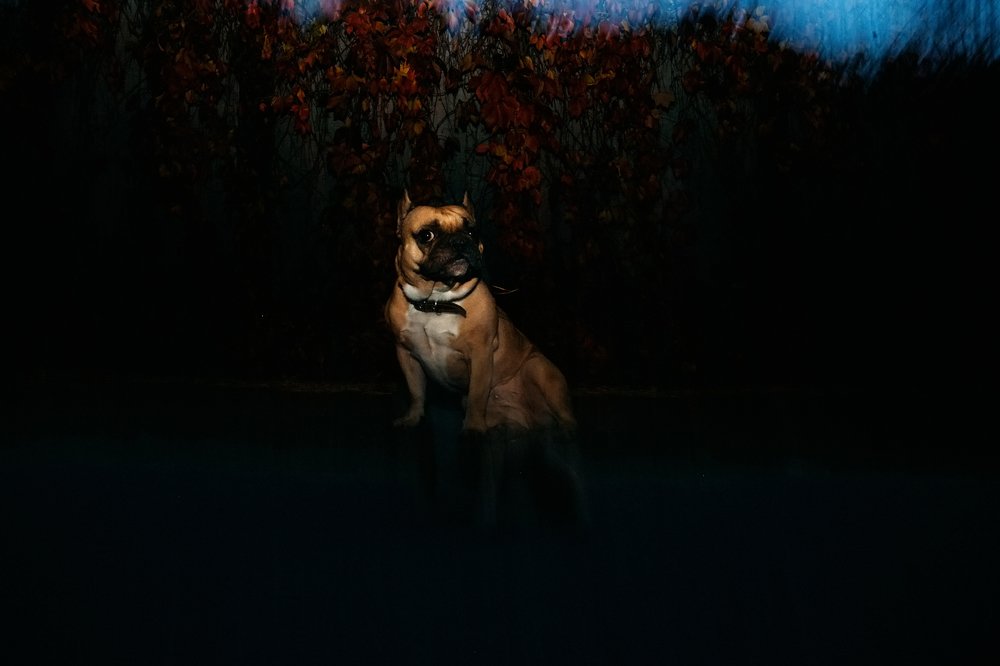 Photograph by Yuliya Ivanova